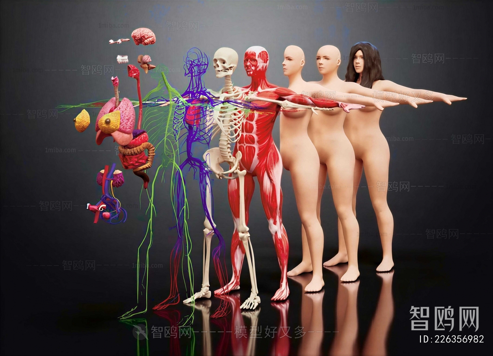 Modern Medical Equipment