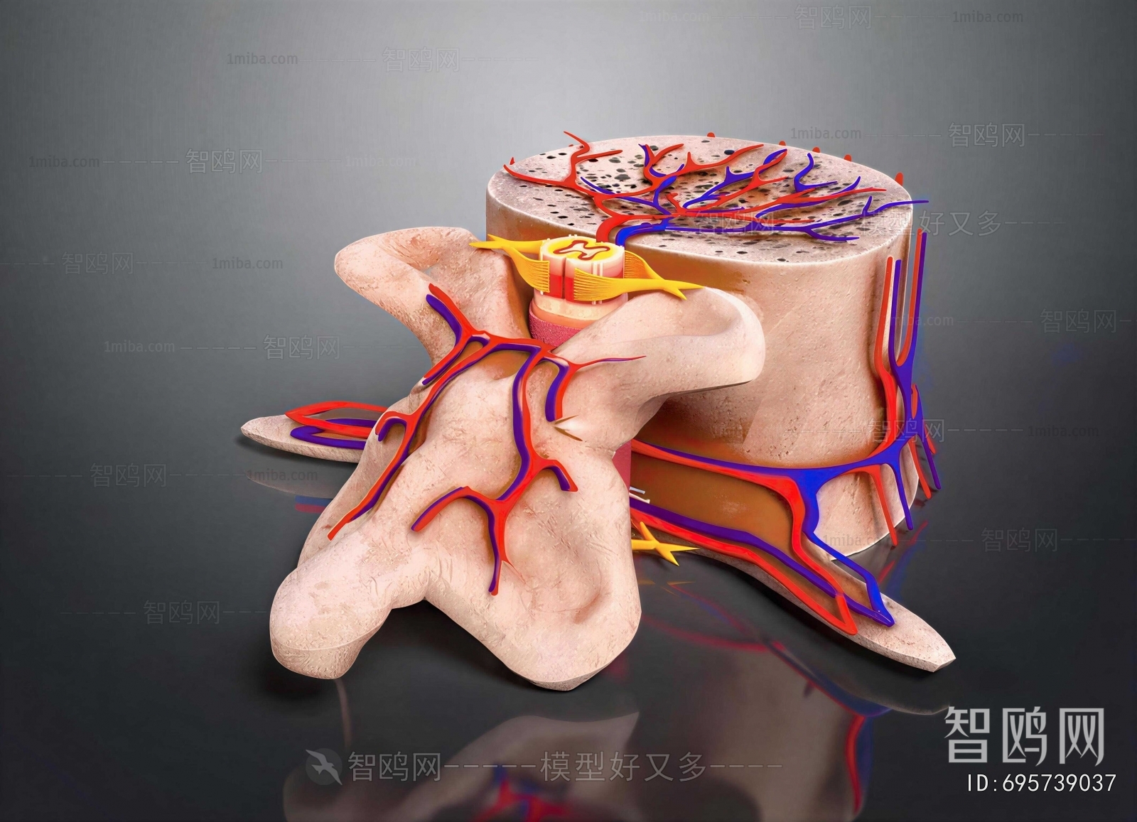 Modern Medical Equipment