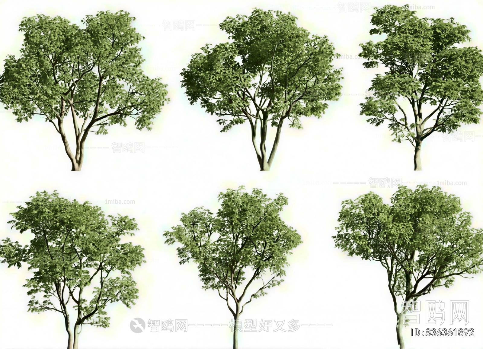 Modern Tree