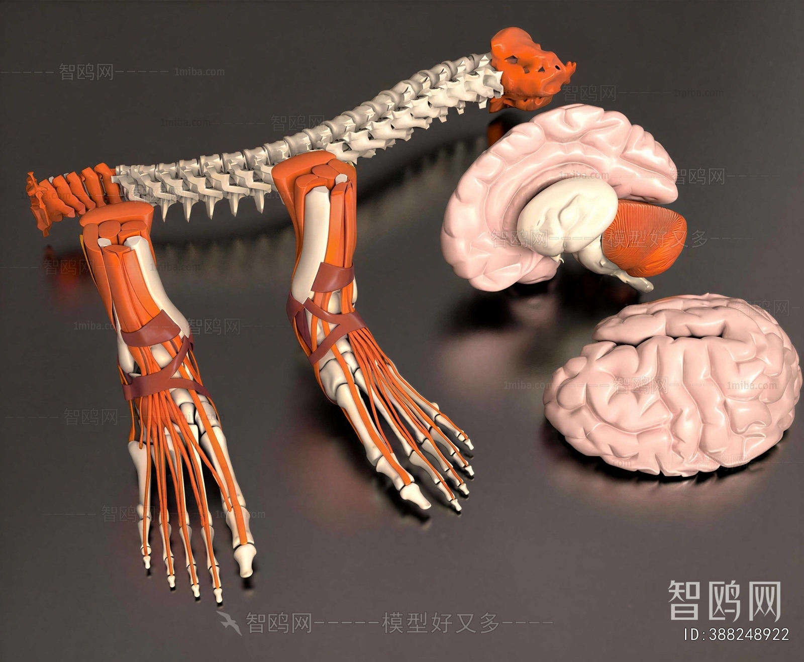 Modern Medical Equipment