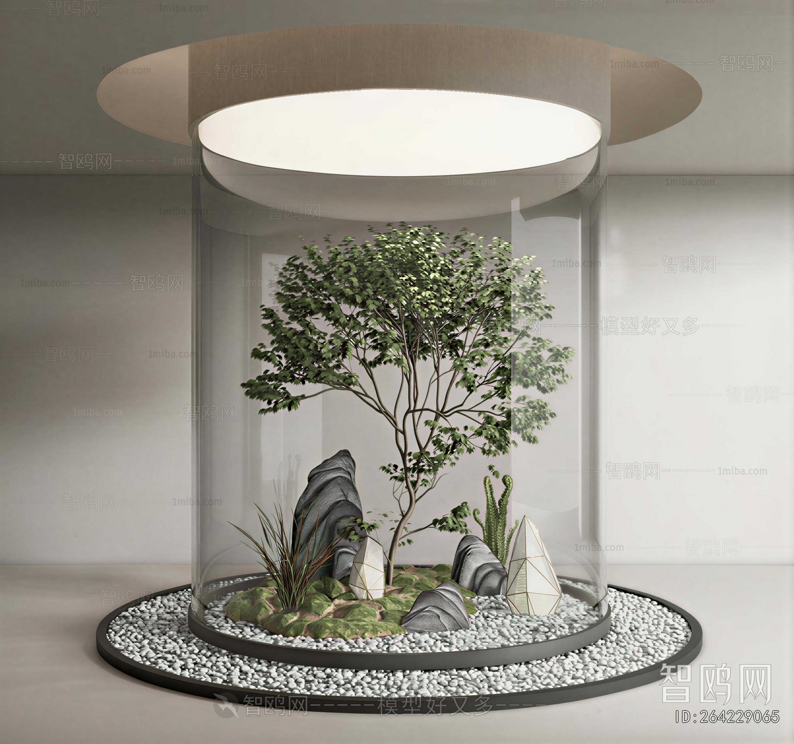 Modern Plant Landscaping