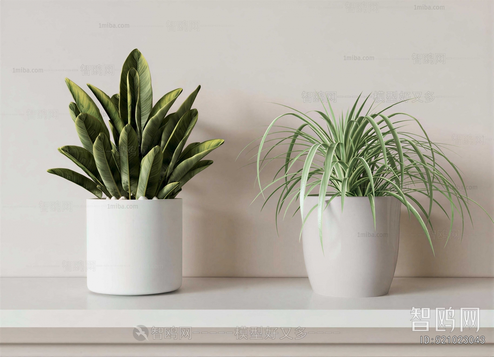 Modern Potted Green Plant