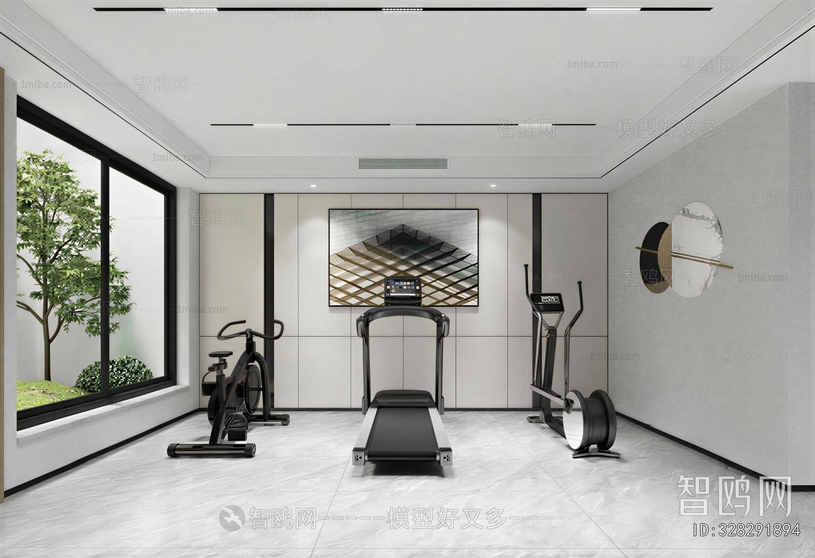 Modern Home Fitness Room