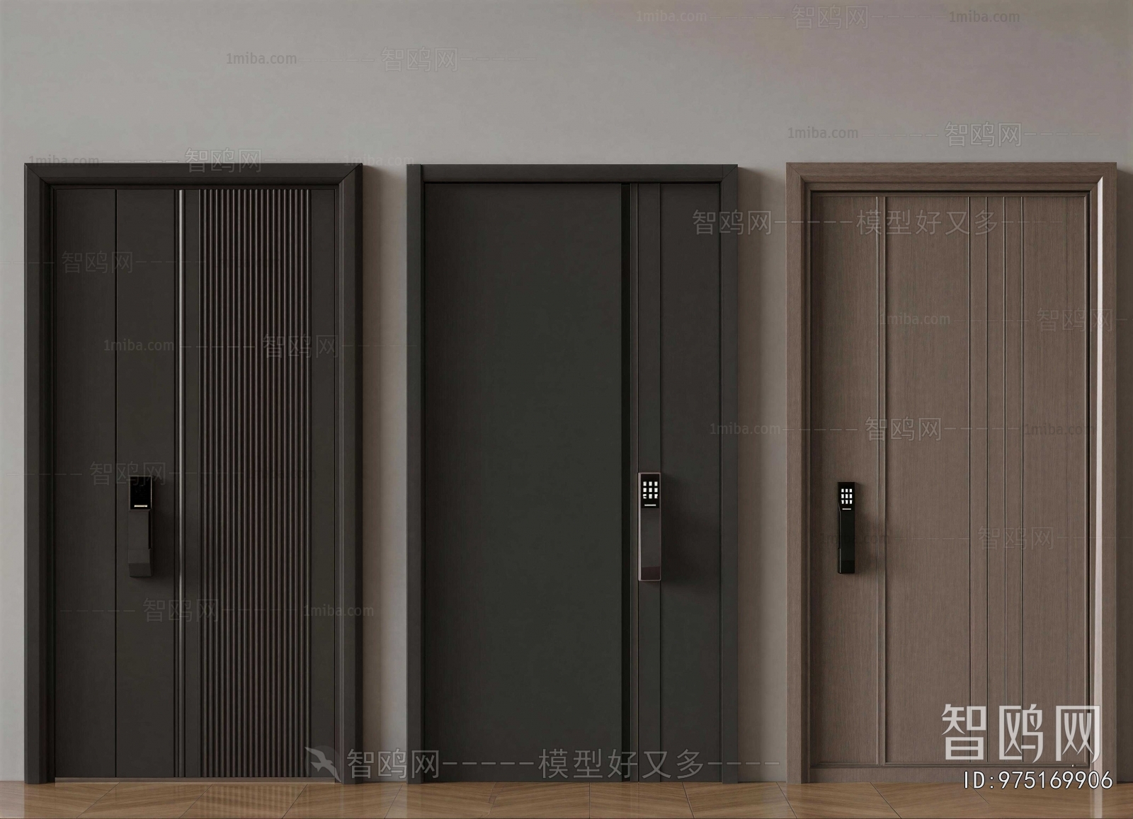 Modern Entrance Door