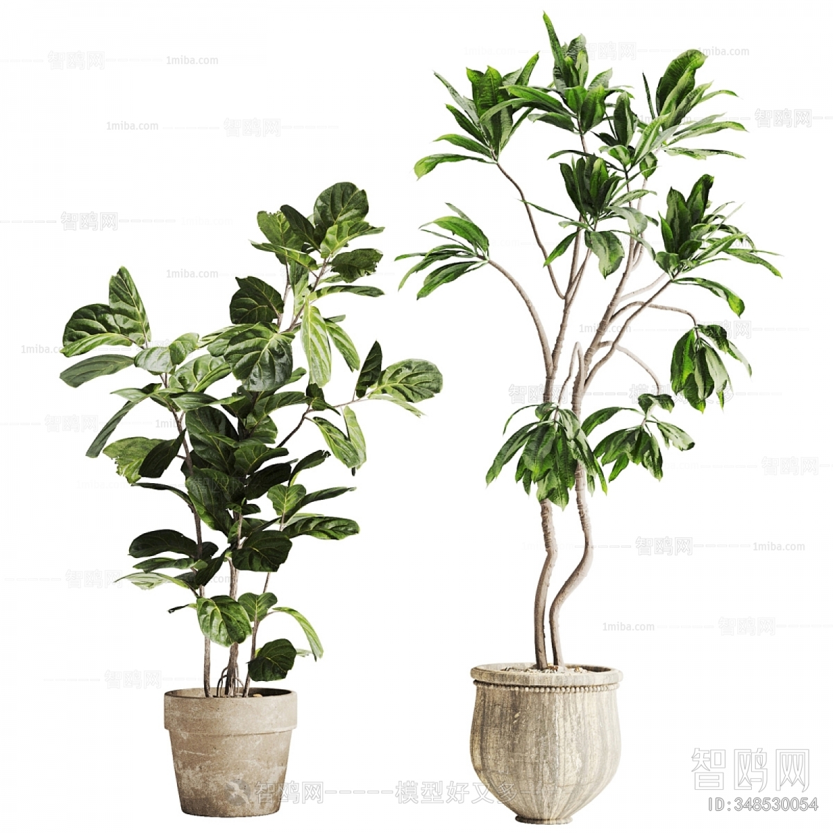 Modern Ground Green Plant Potted Plants
