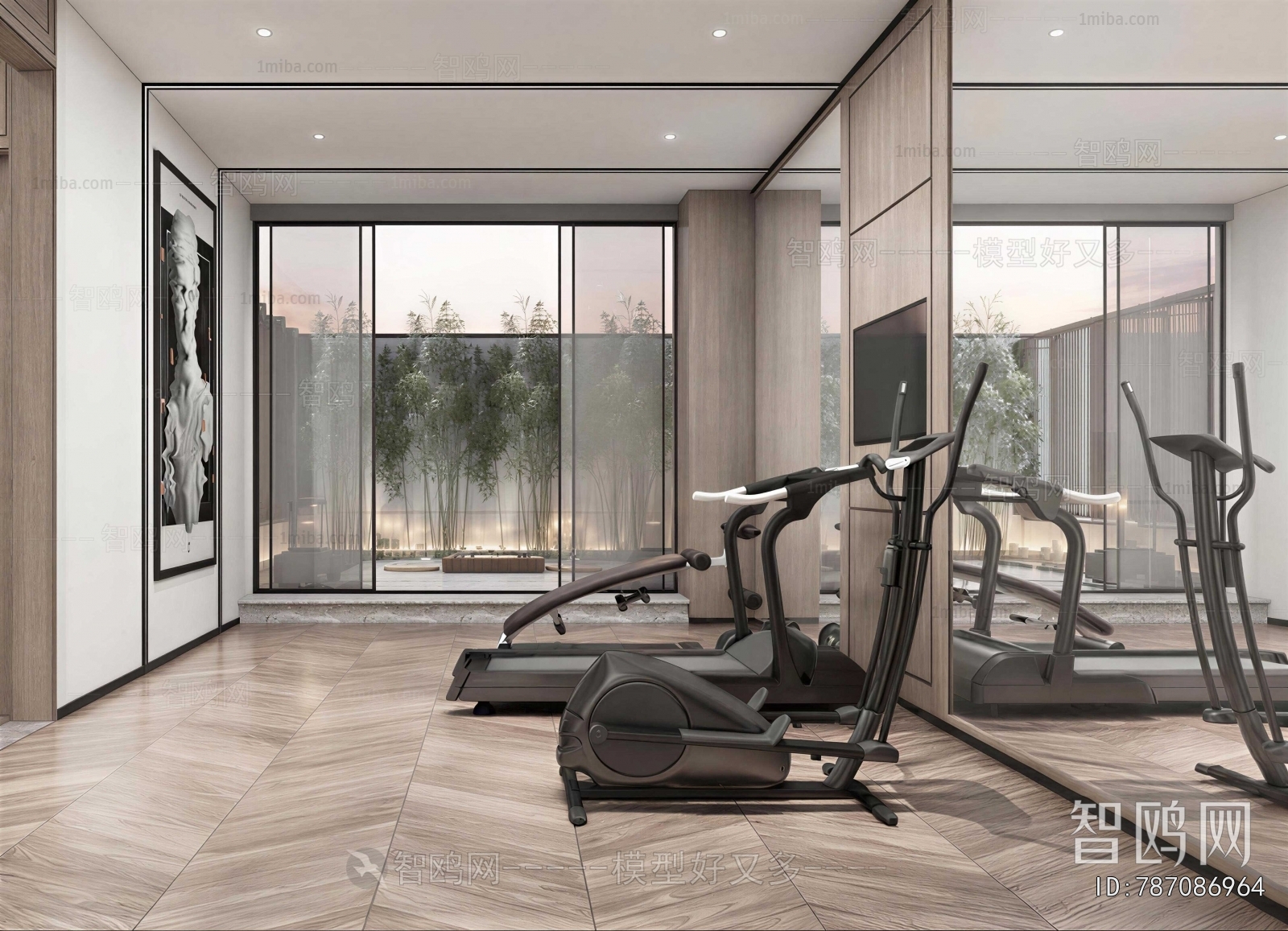 Modern Home Fitness Room