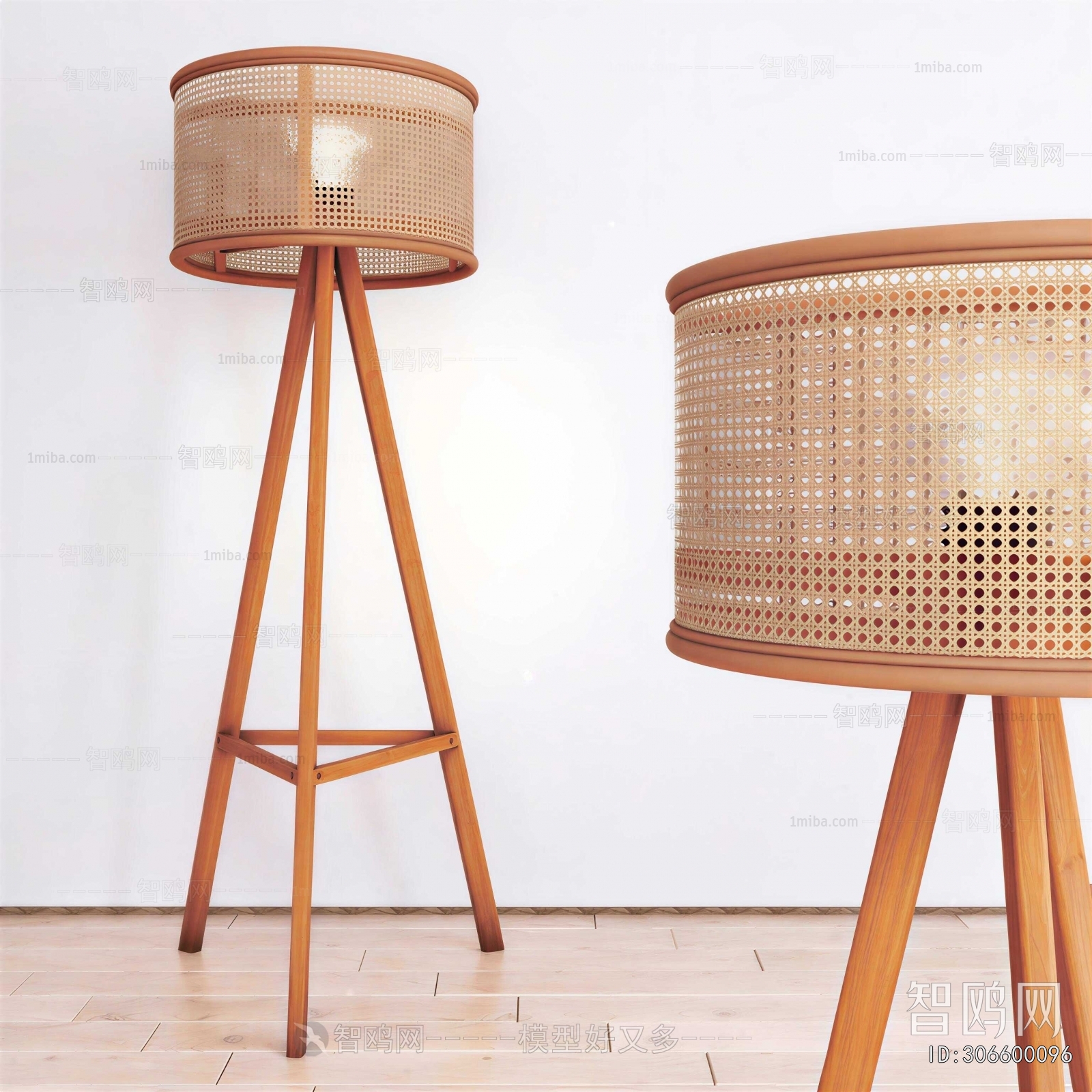 Modern Floor Lamp