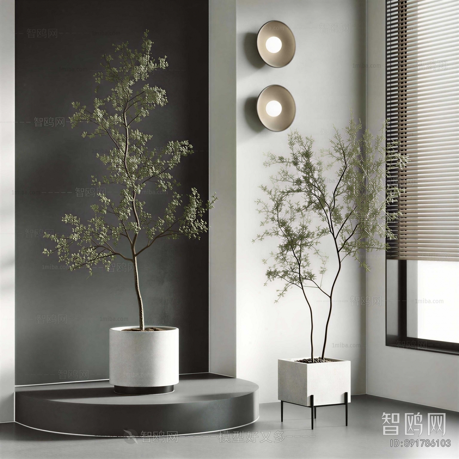 Modern Ground Green Plant Potted Plants