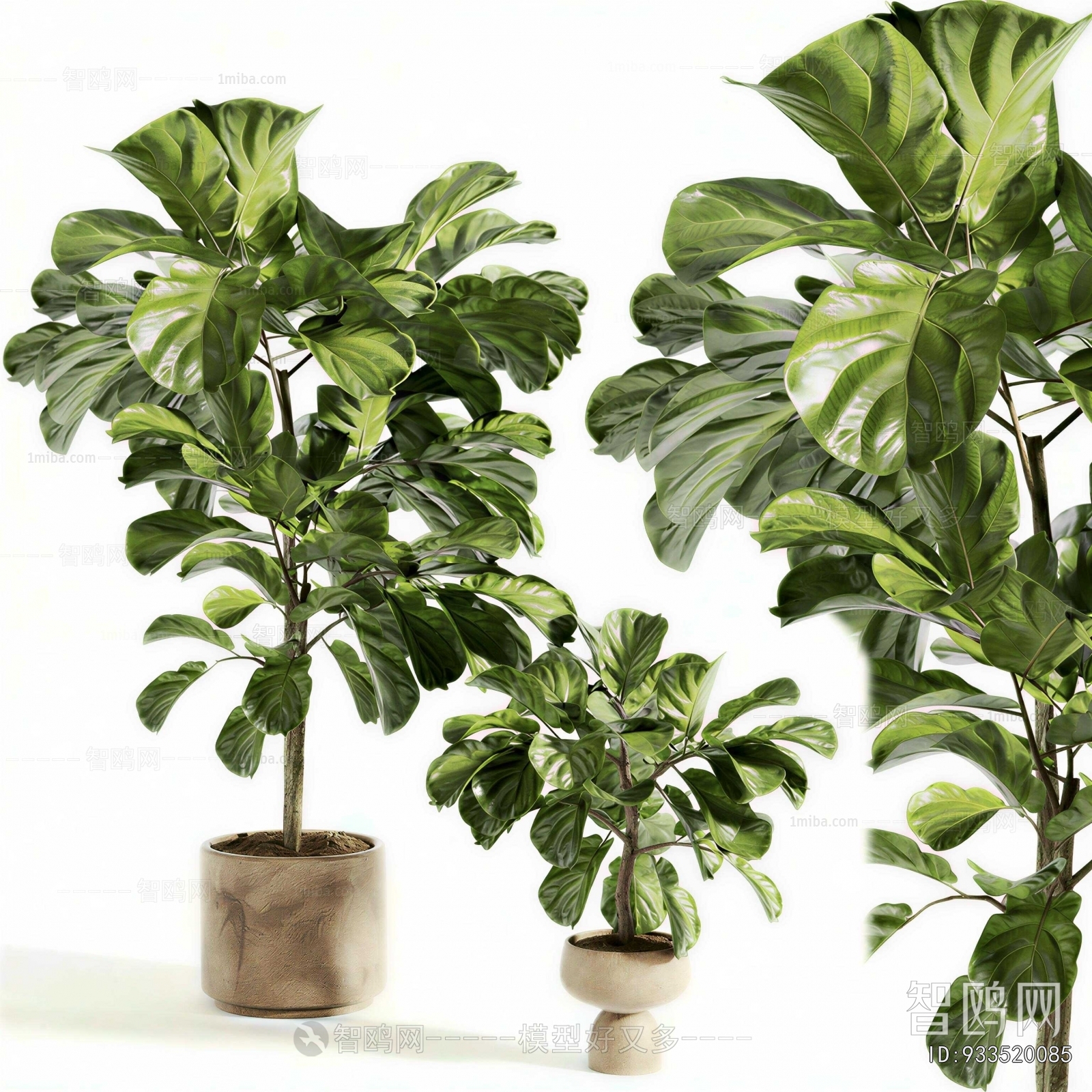 Modern Ground Green Plant Potted Plants