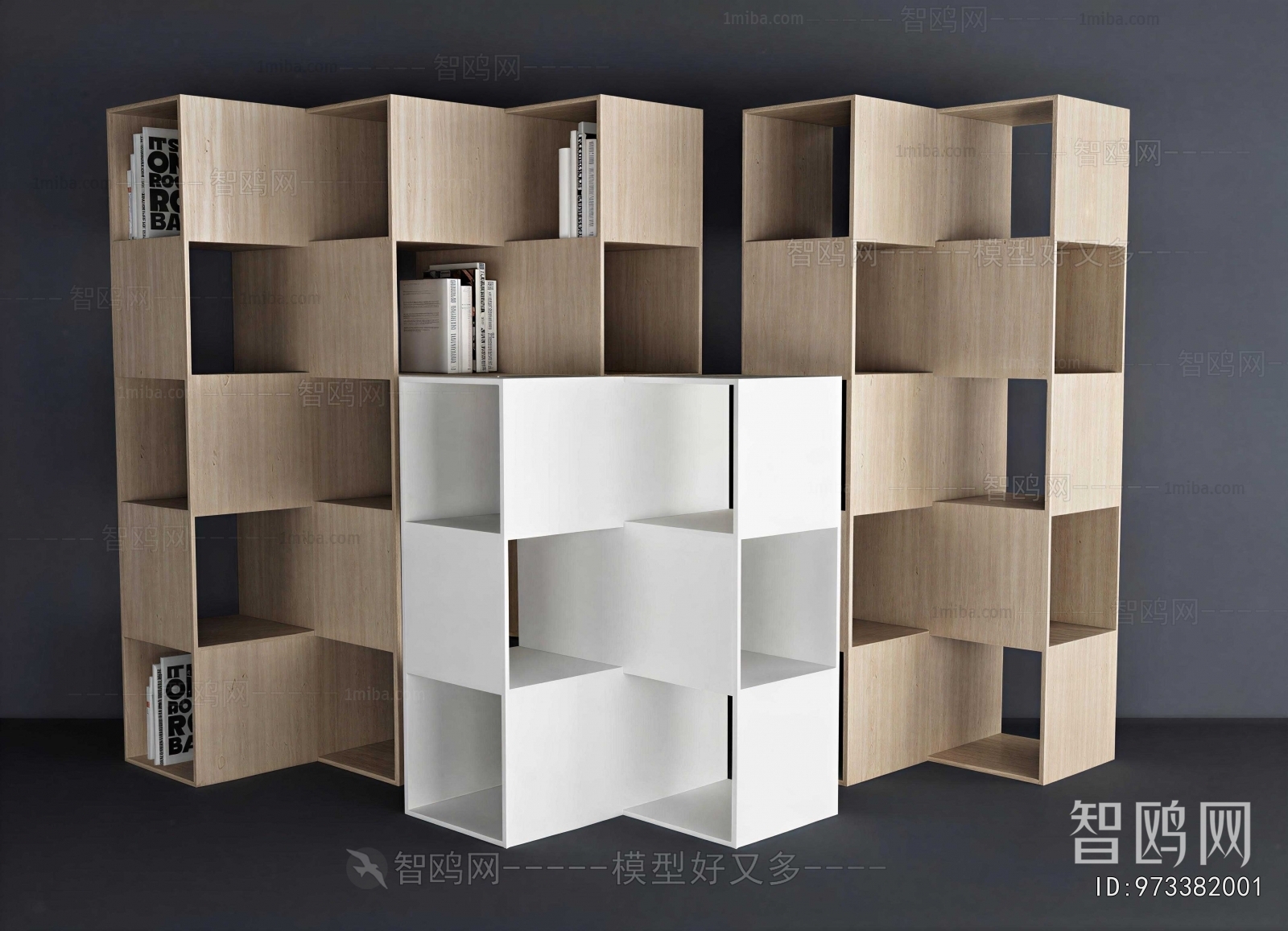 Modern Bookshelf
