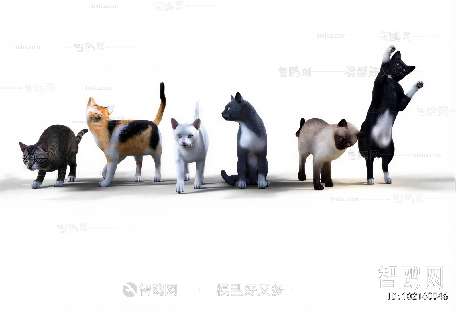 Modern Animal Cat