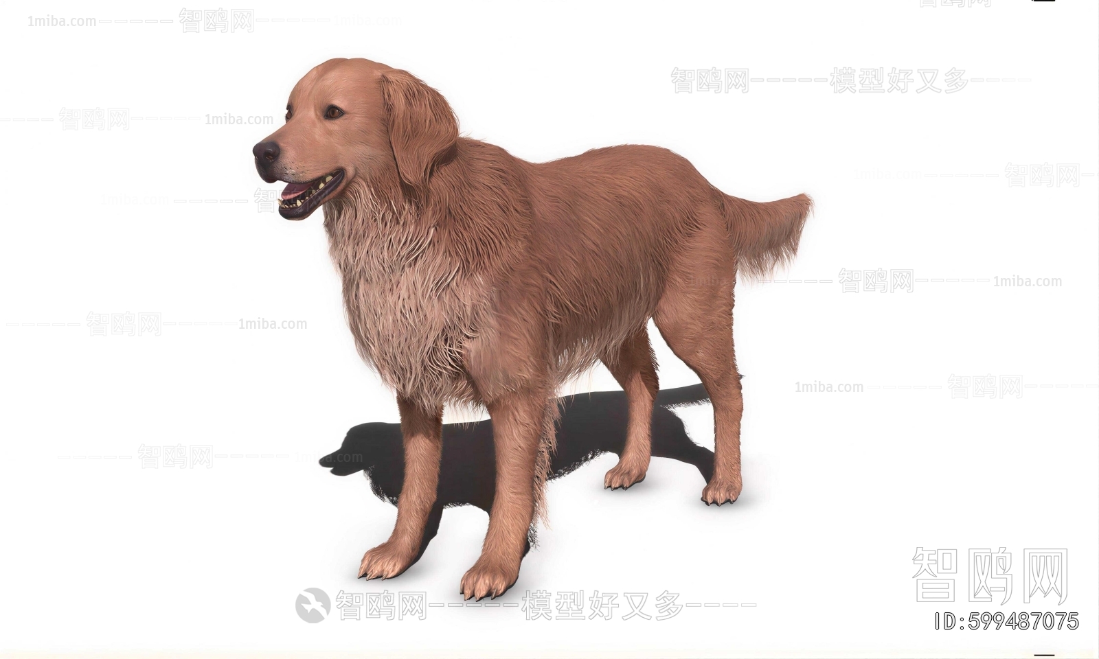 Modern Animal Dog