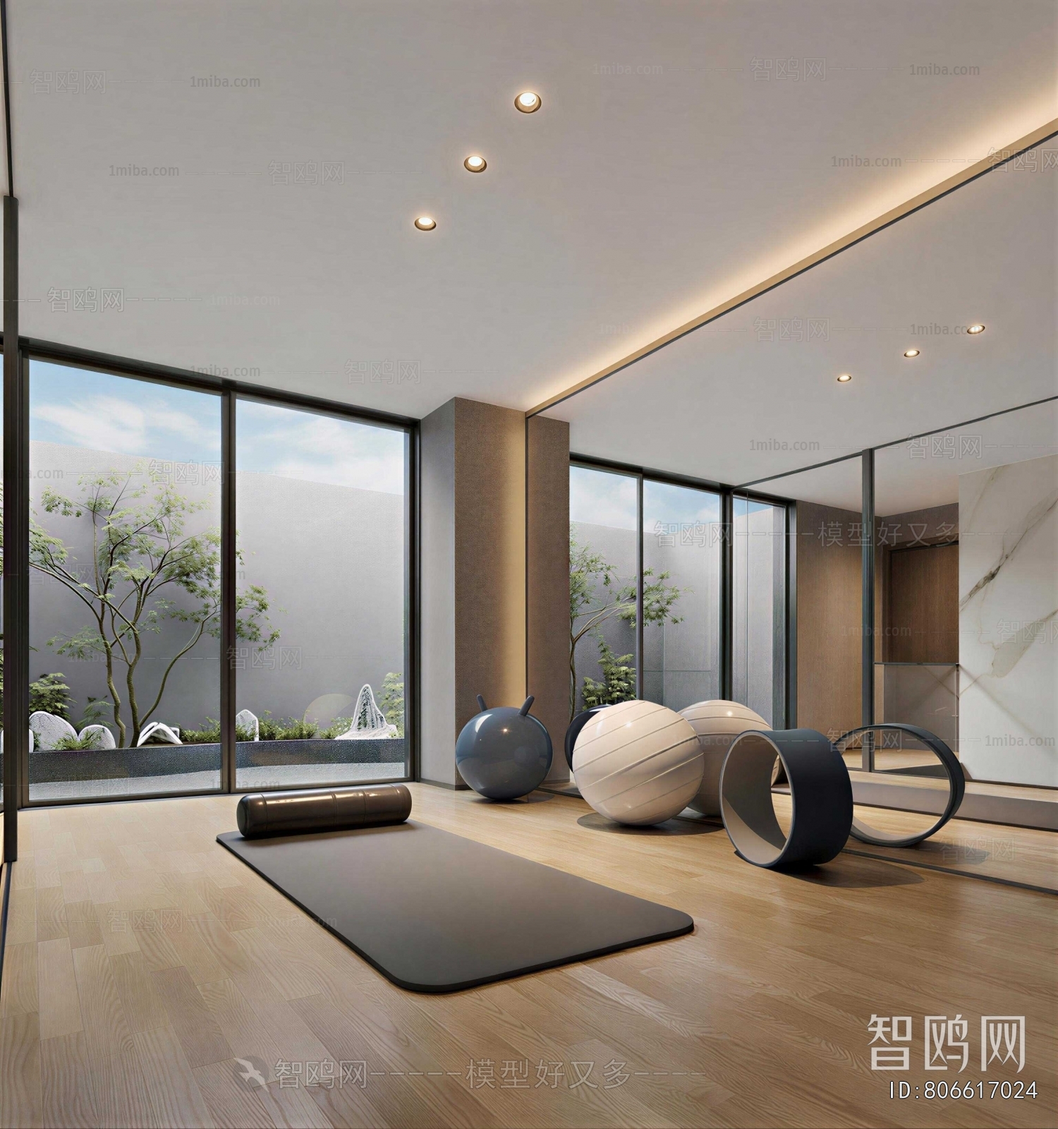Modern Home Fitness Room