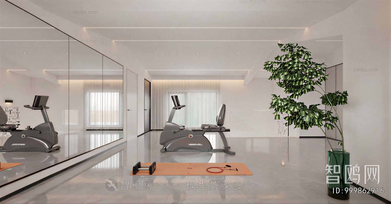 Modern Home Fitness Room