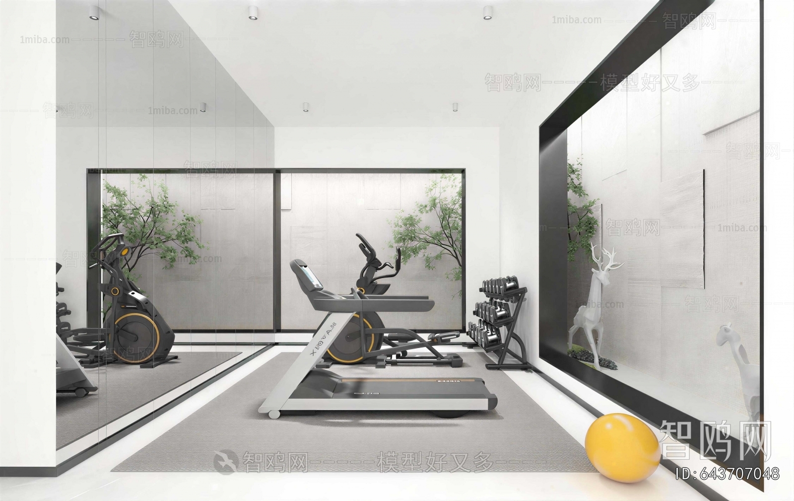 Modern Home Fitness Room
