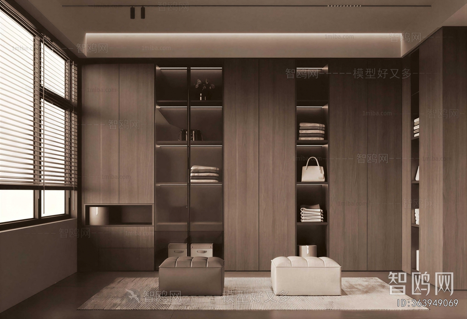 Modern Clothes Storage Area