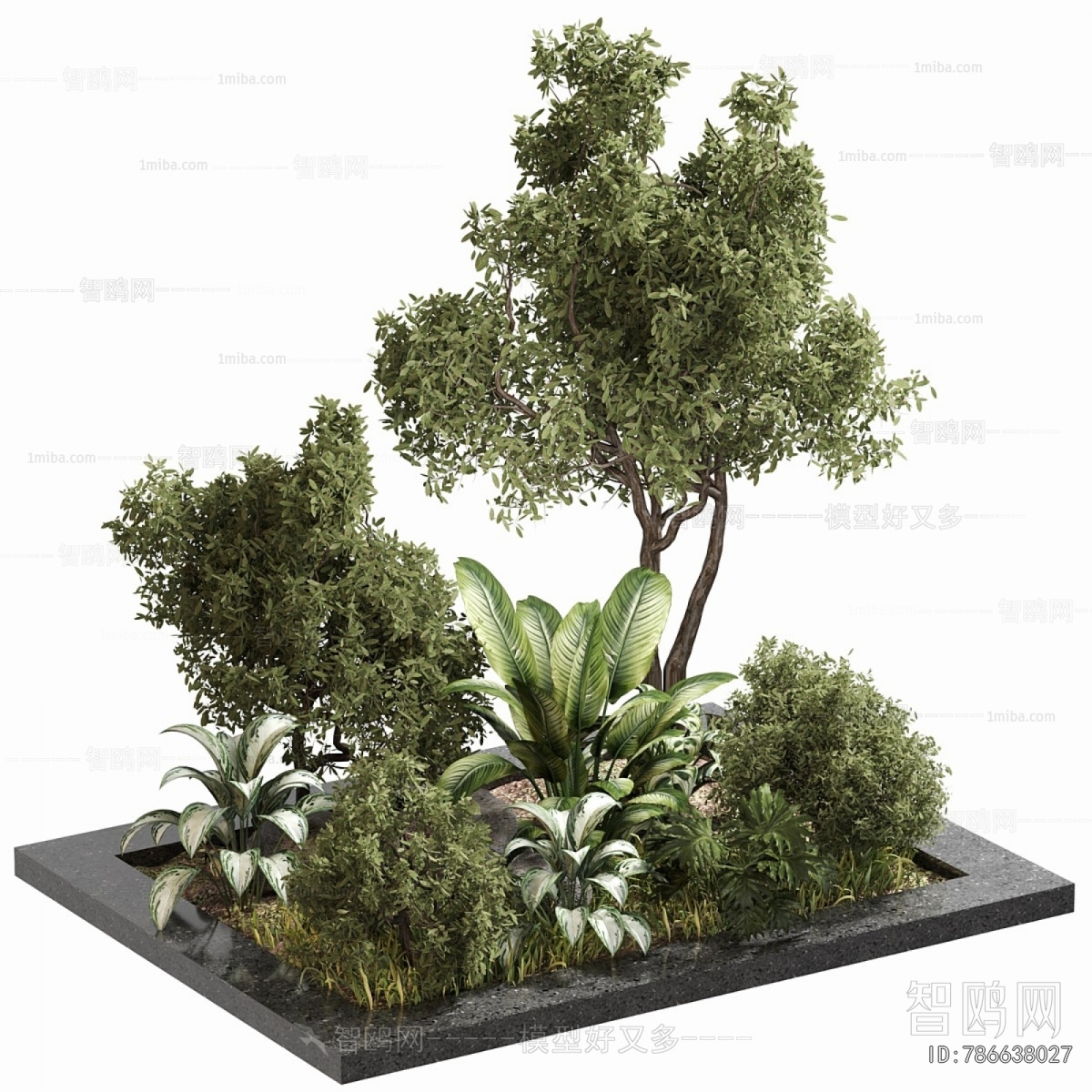 Modern Flower Bed, Flower Bowl, Flower Box