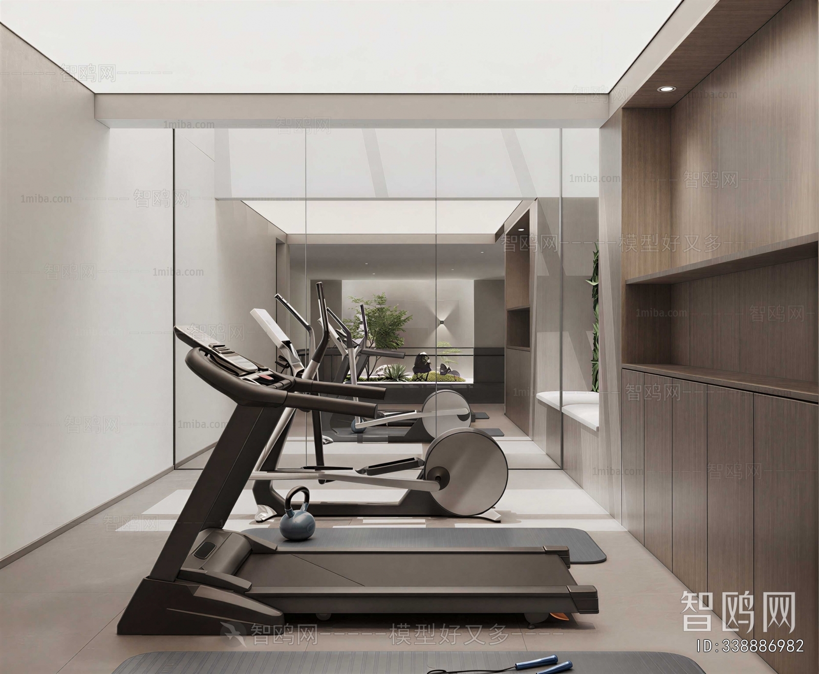 Modern Home Fitness Room