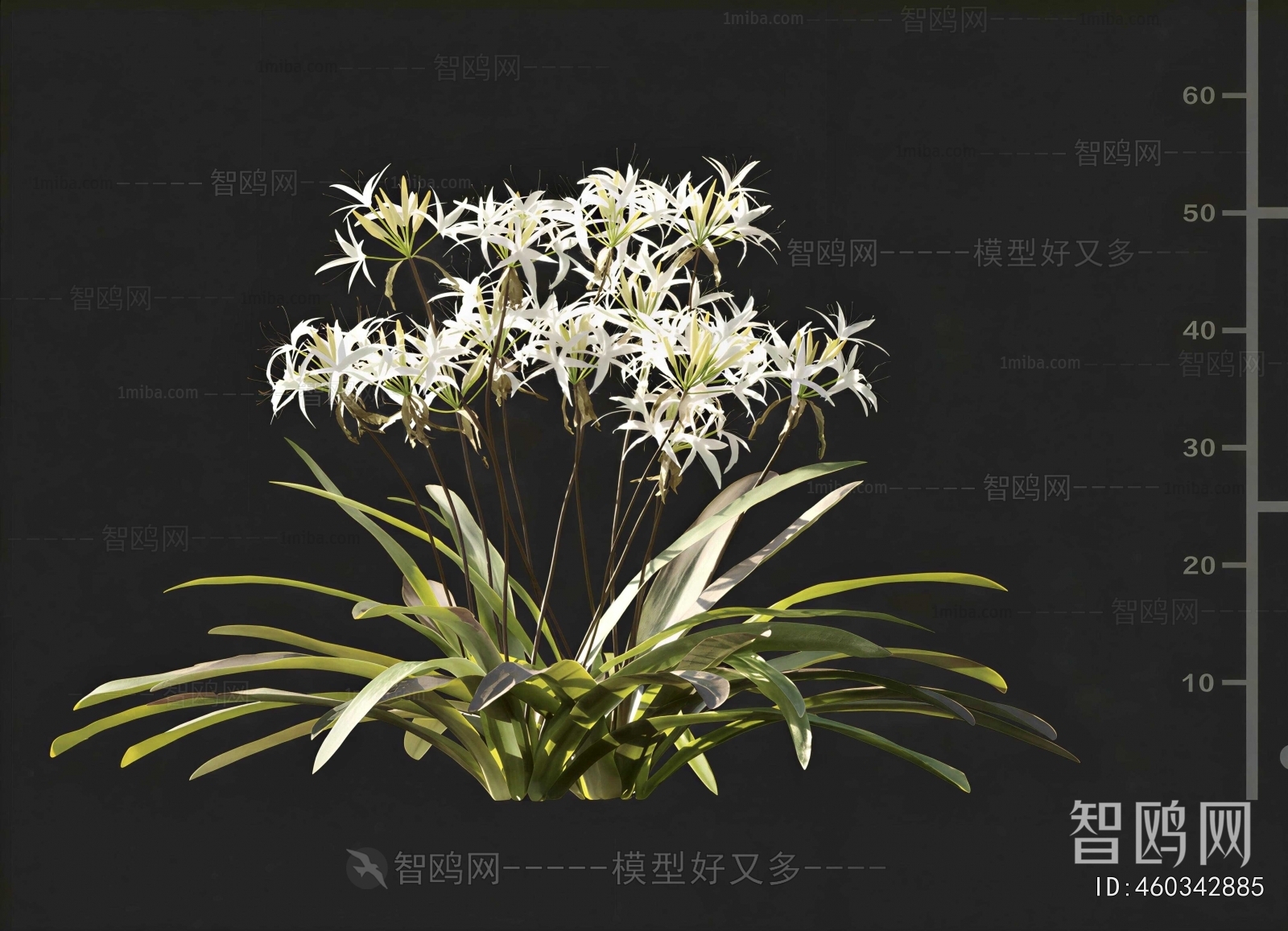Modern Flowers And Grass
