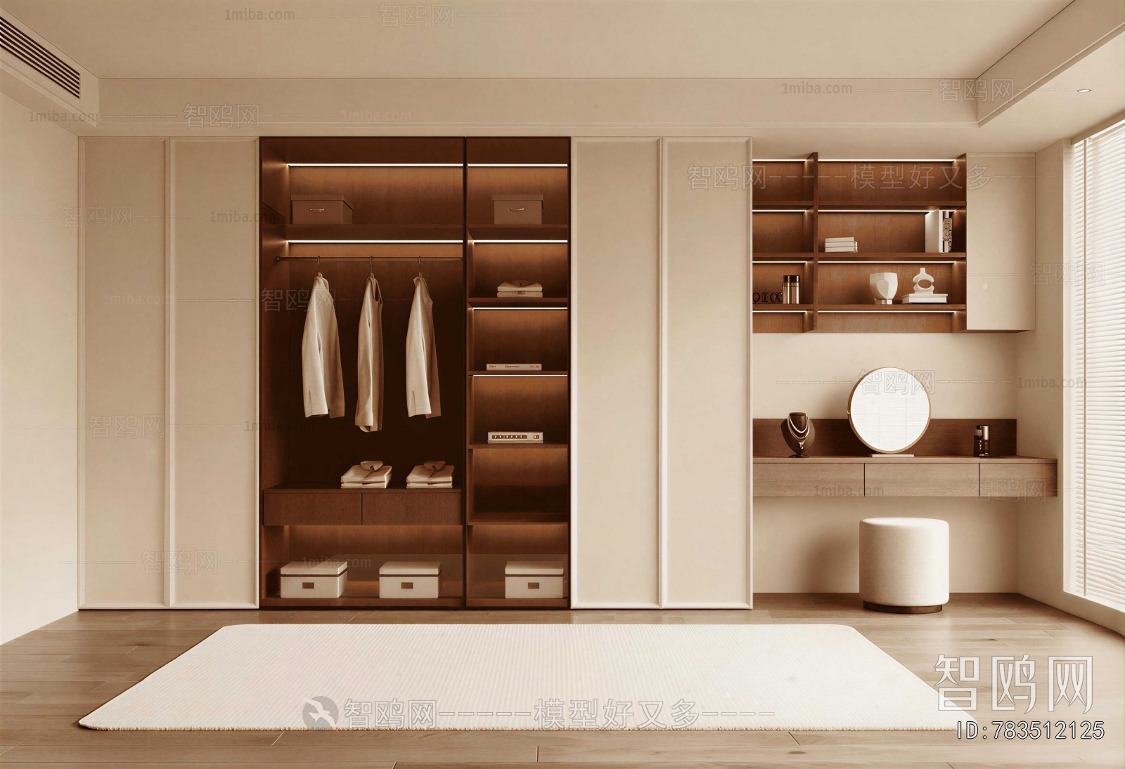 Modern Clothes Storage Area