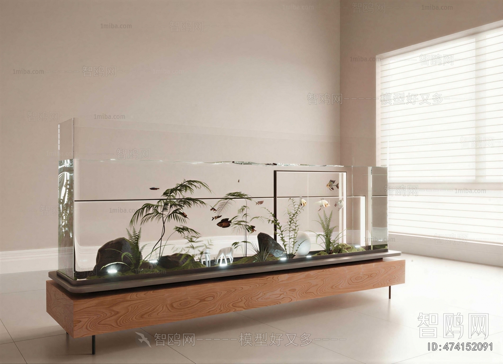 Modern Fish Tank
