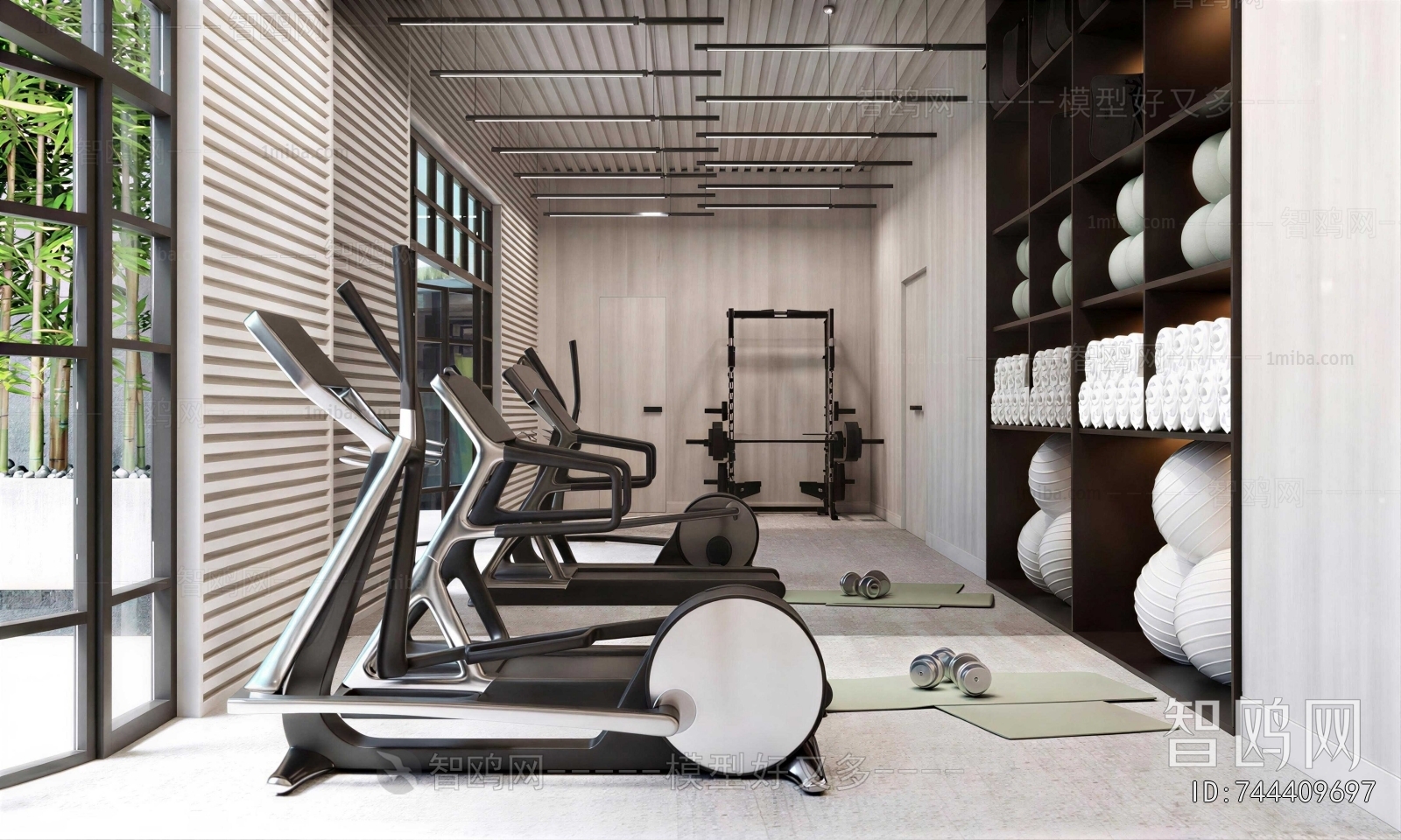 Modern Home Fitness Room