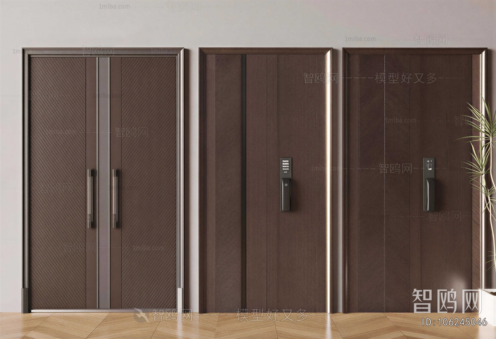 Modern Entrance Door