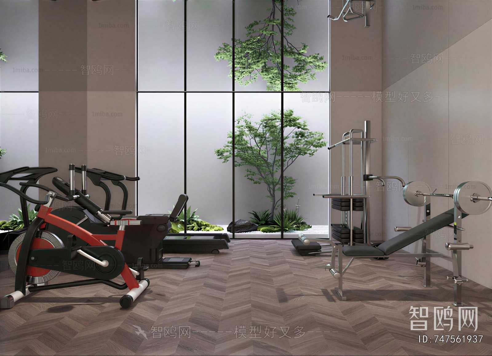 Modern Home Fitness Room