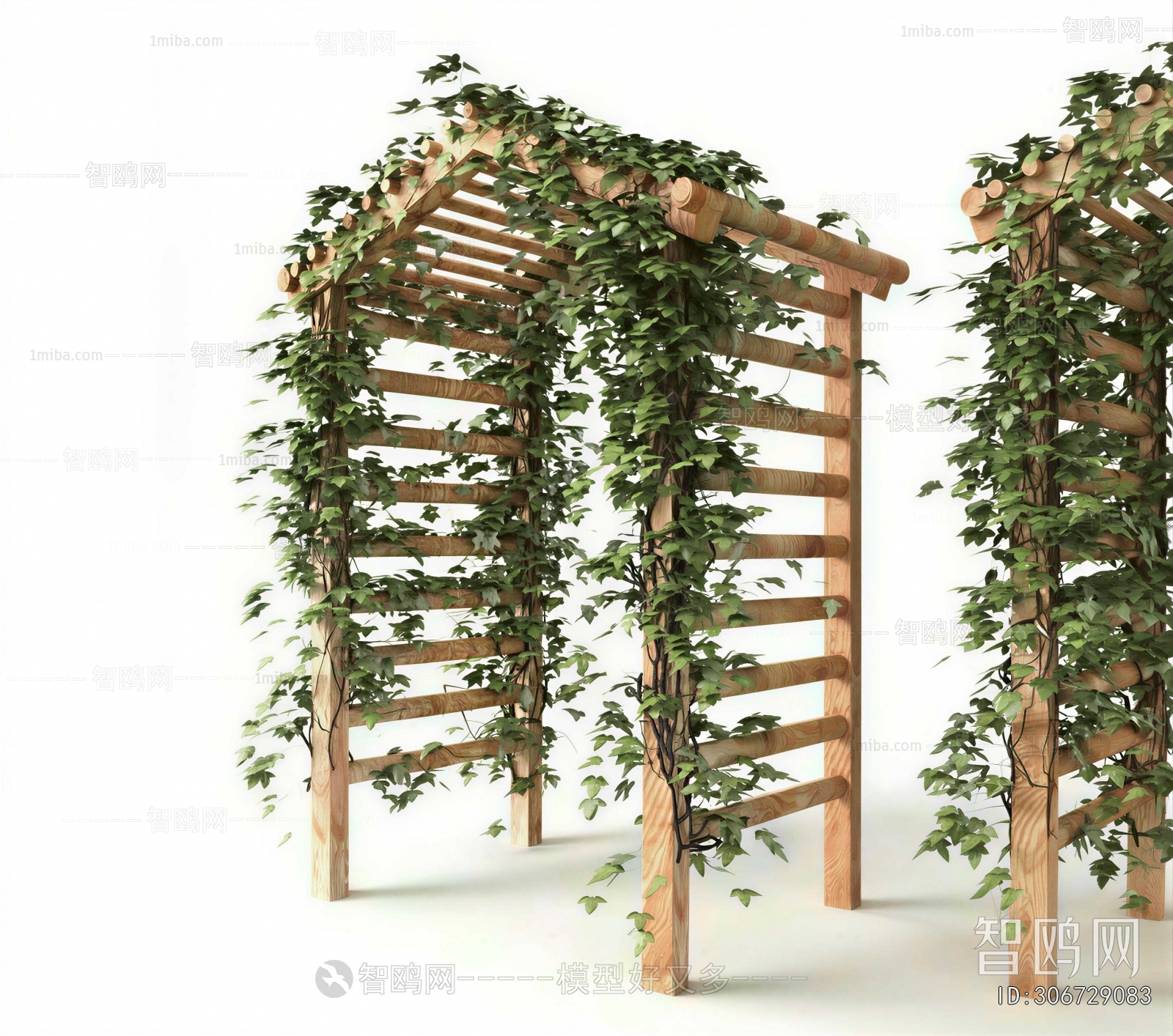 Modern Gallery Frame