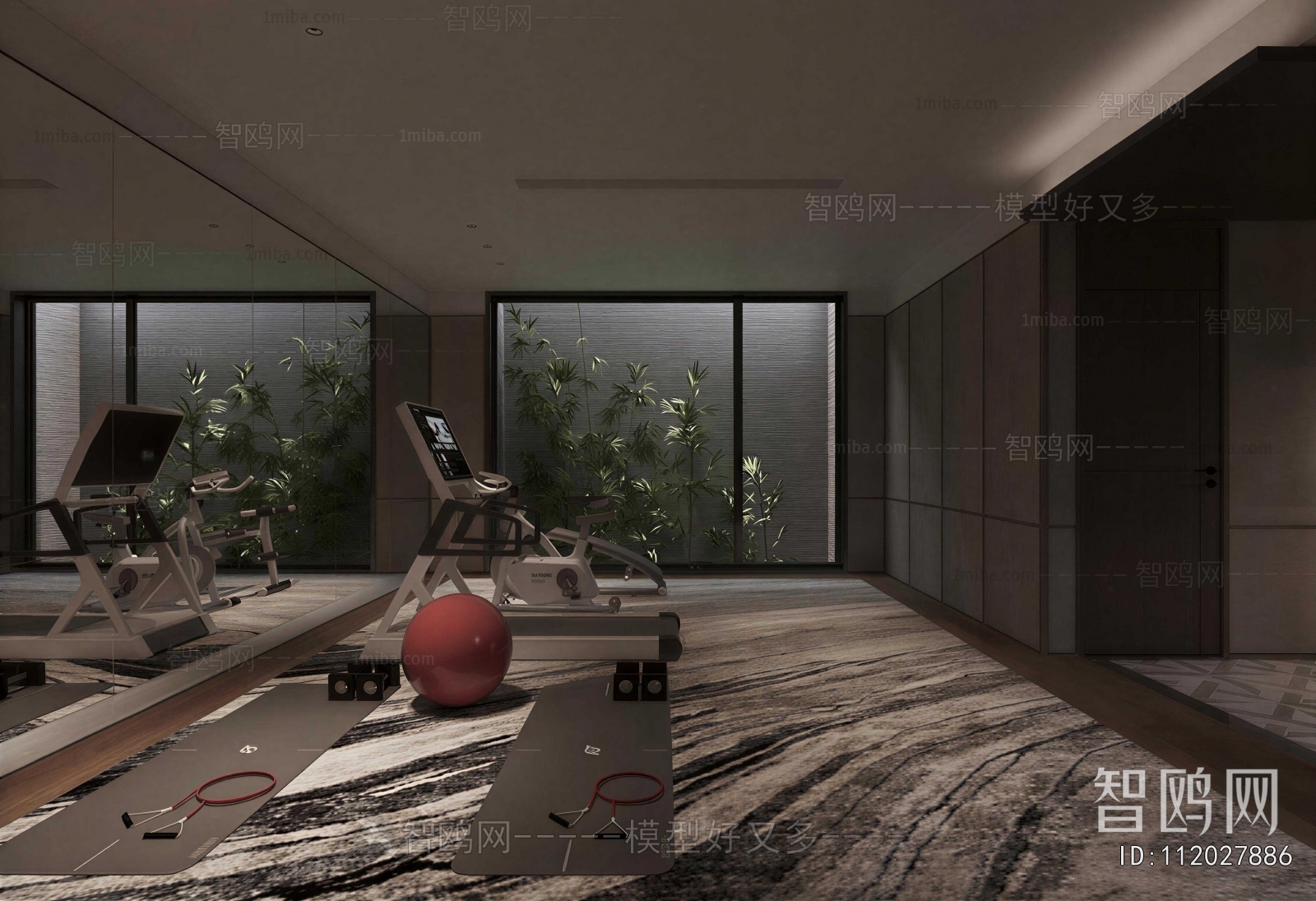 Modern Home Fitness Room