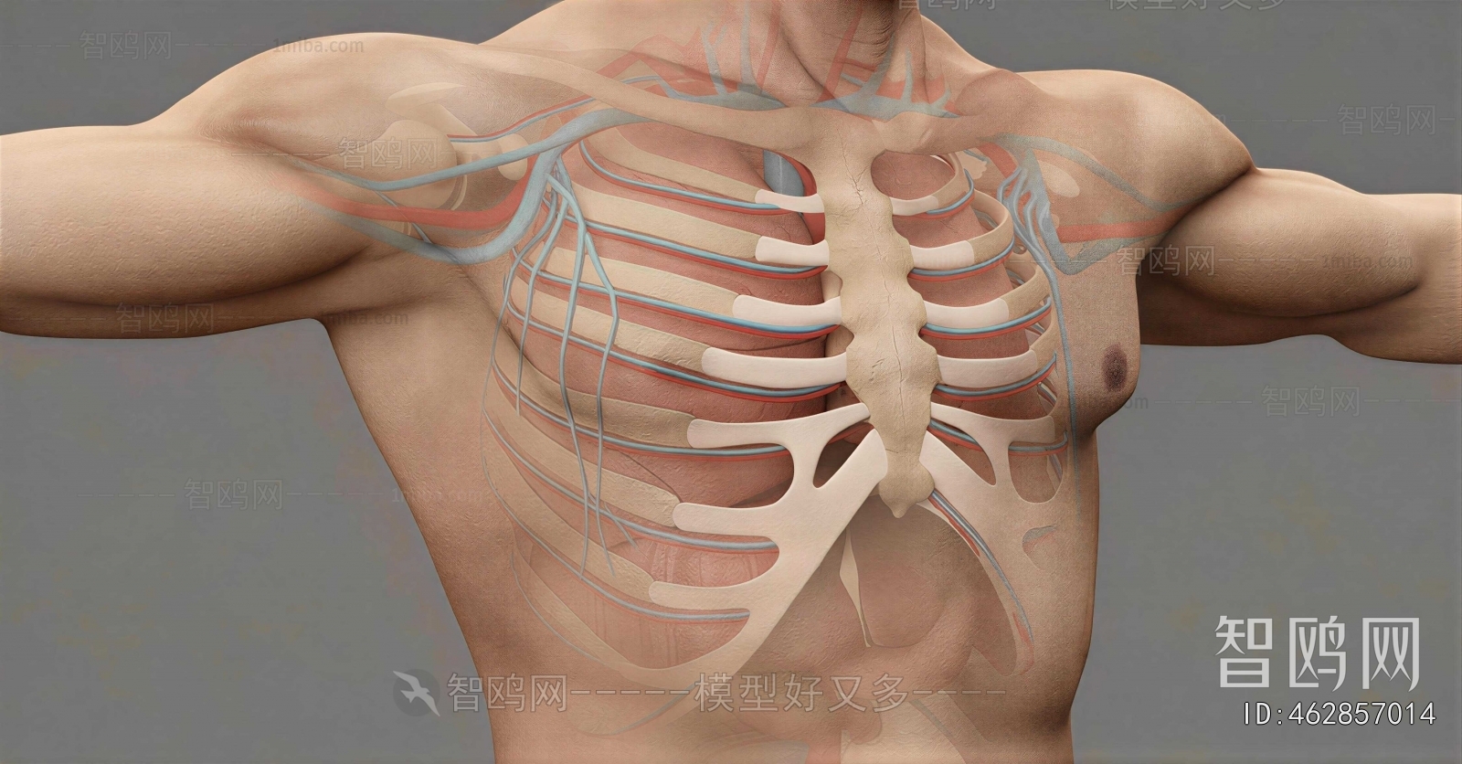 Modern Medical Equipment