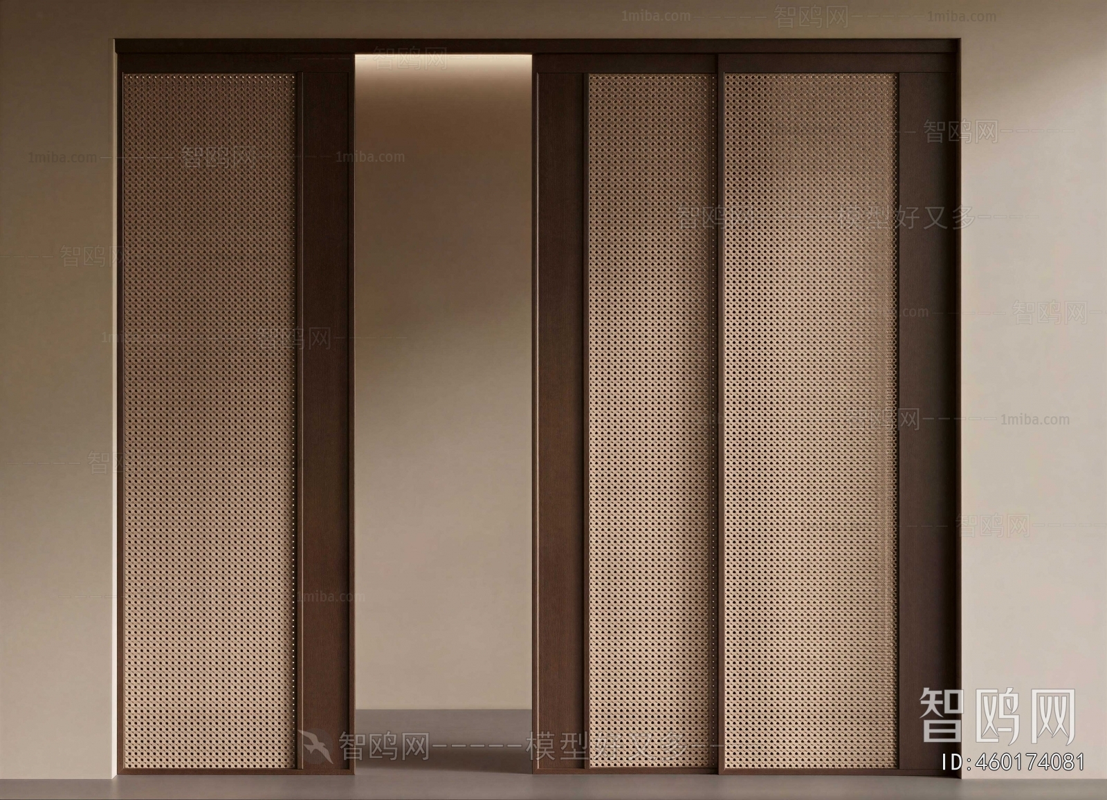 Modern Sliding Door