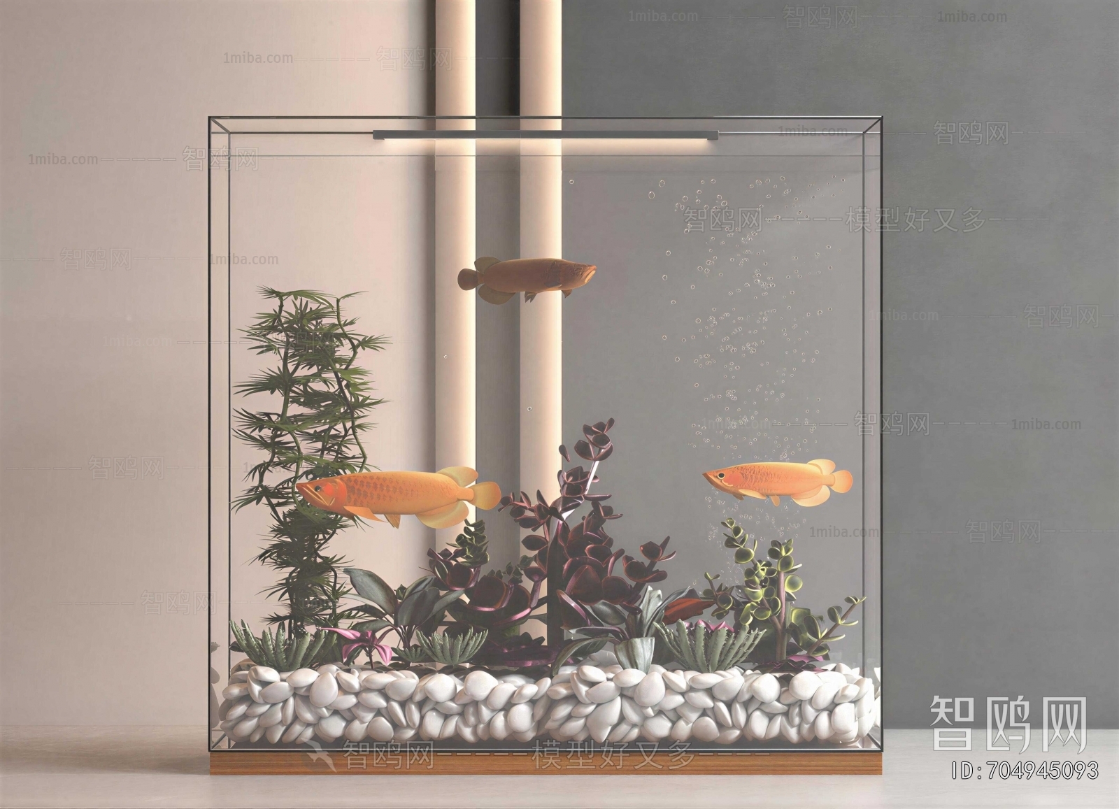 Modern Fish Tank