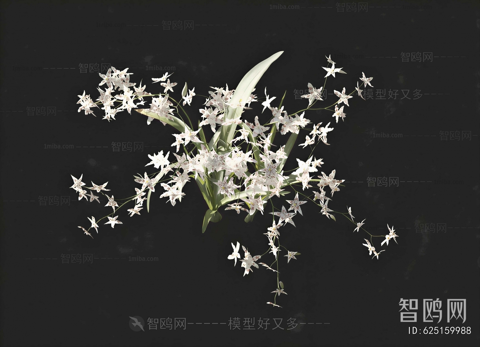 Modern Flowers And Grass