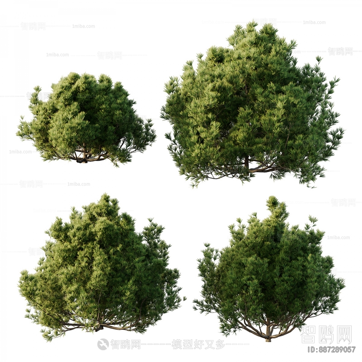 Modern Shrubbery