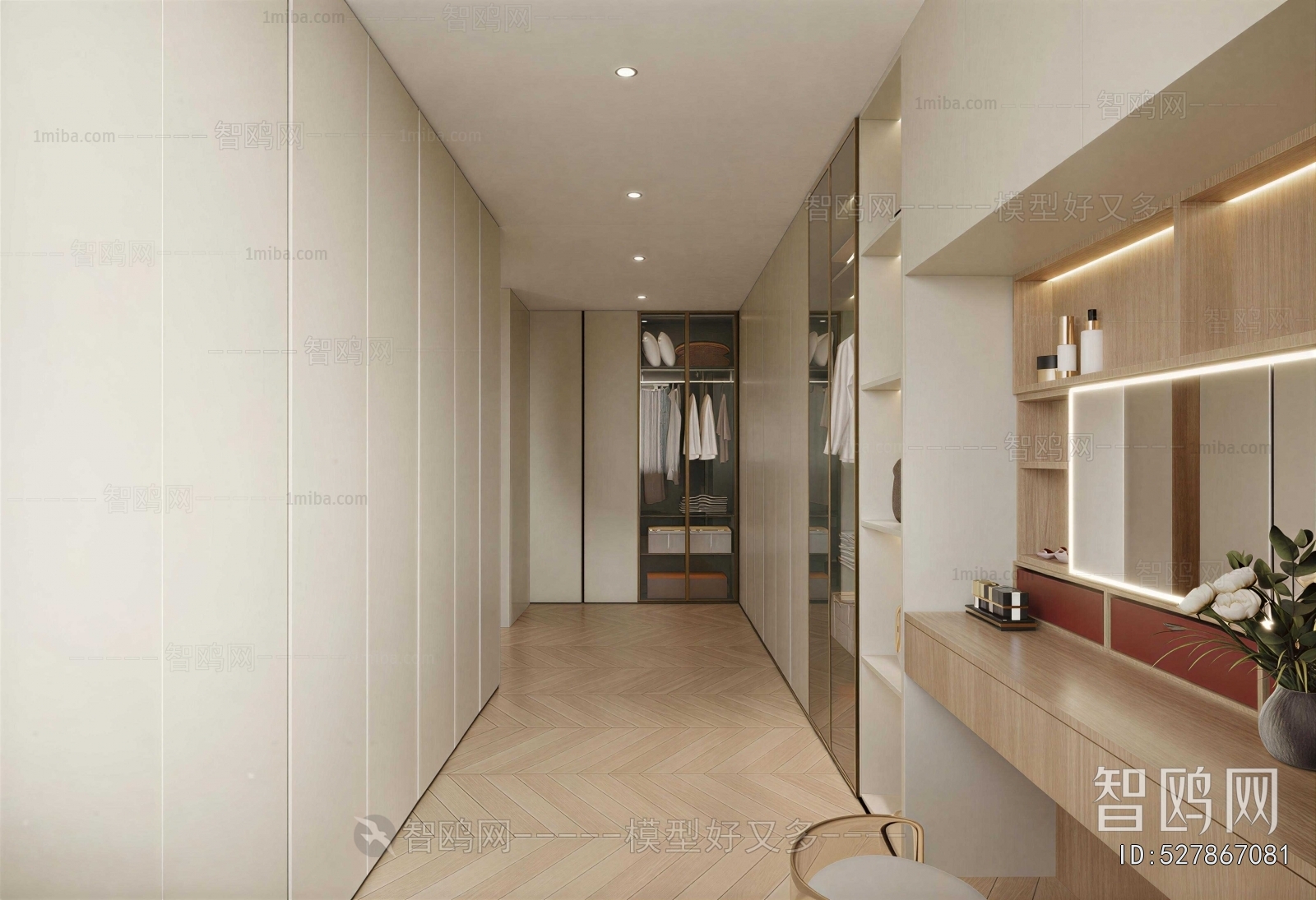 Modern Clothes Storage Area