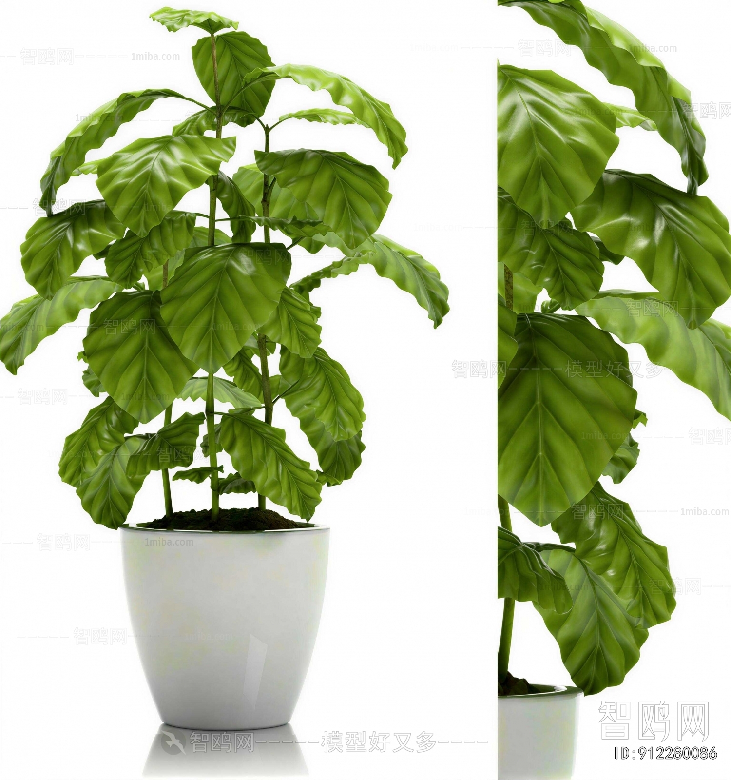 Modern Ground Green Plant Potted Plants