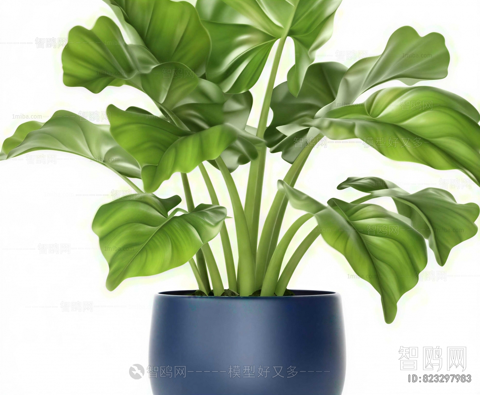 Modern Ground Green Plant Potted Plants