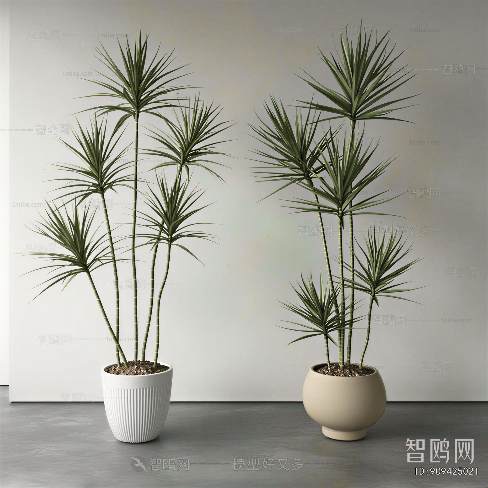 Modern Ground Green Plant Potted Plants