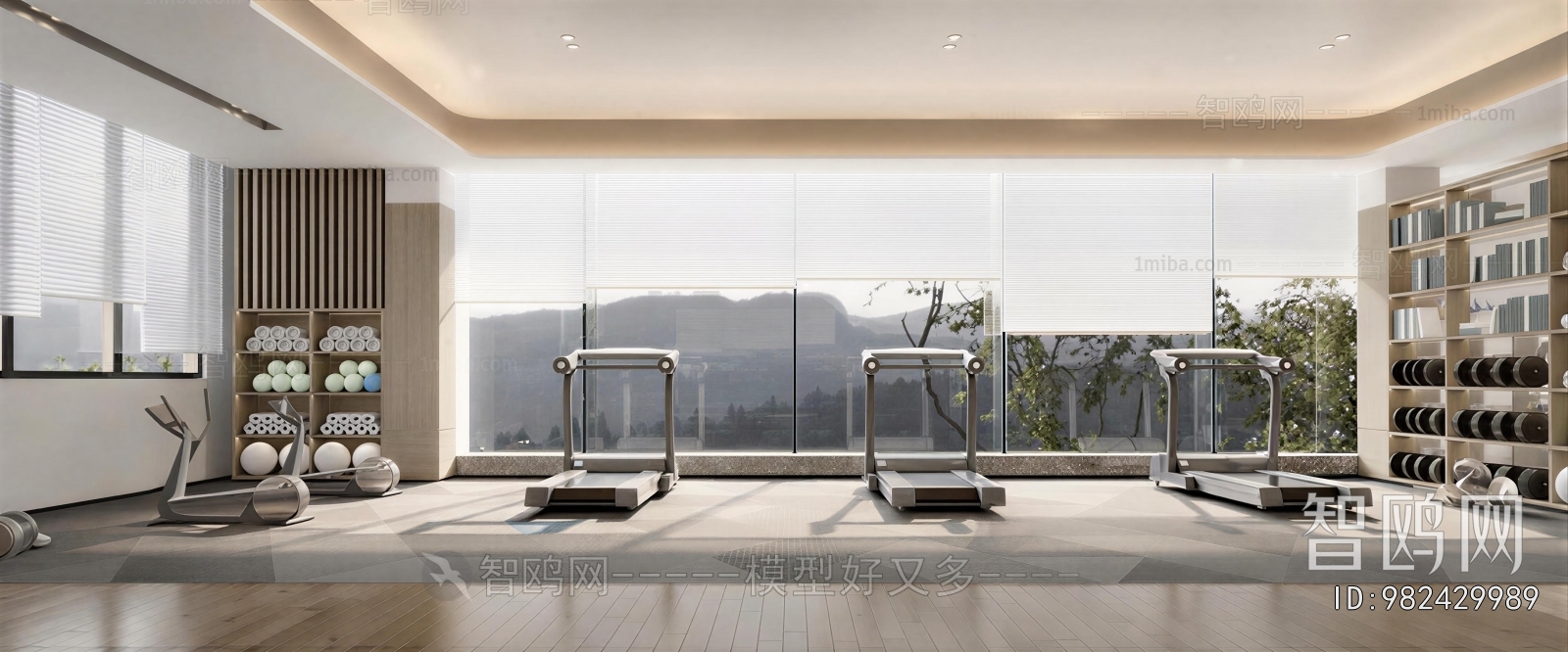 Modern Home Fitness Room