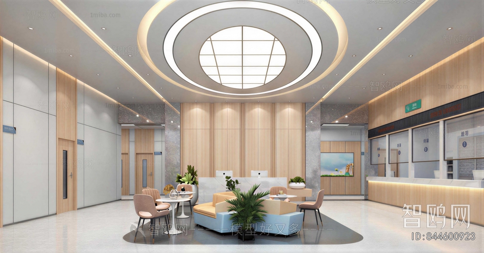 Modern Hospital Hall