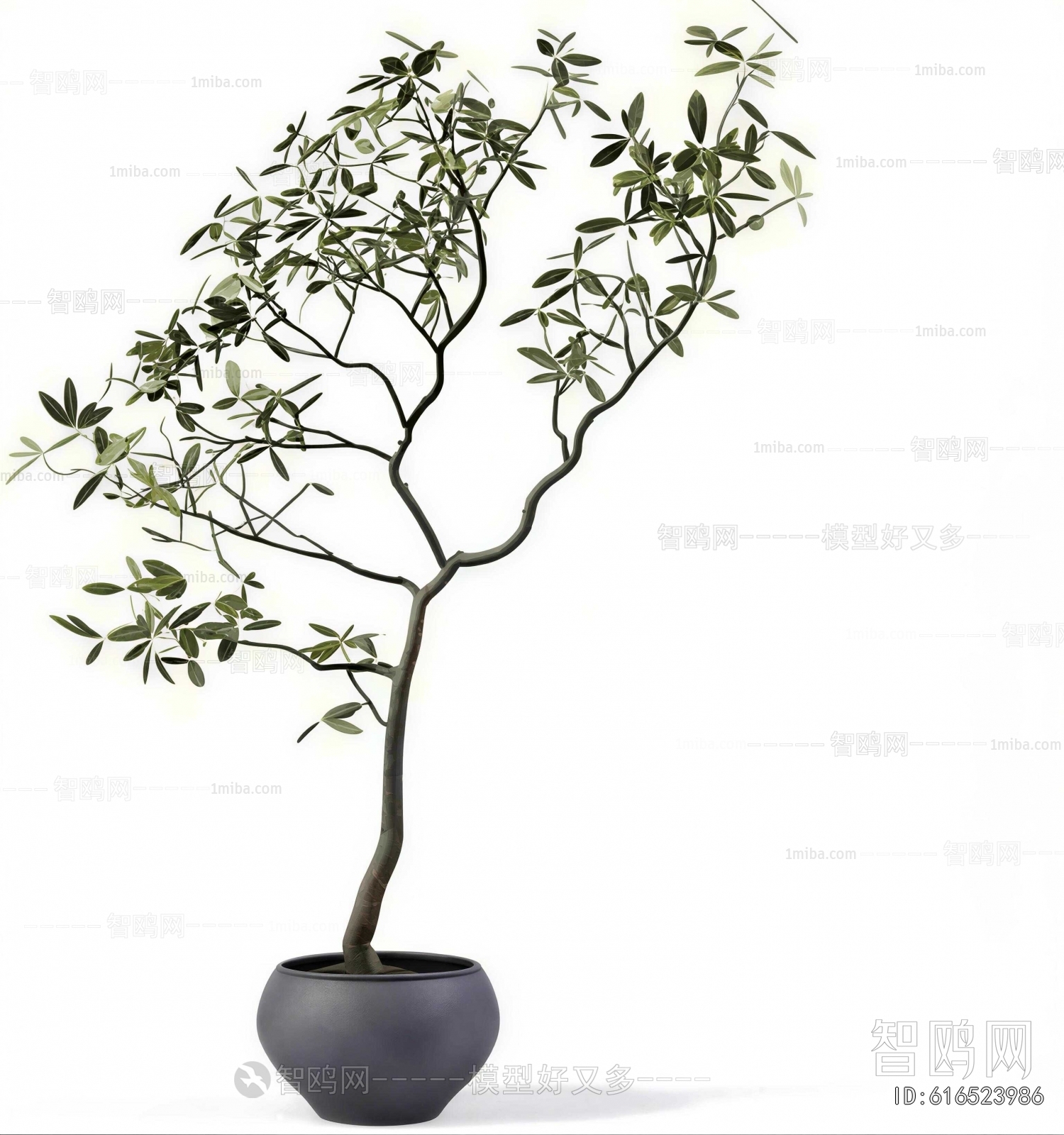 Modern Ground Green Plant Potted Plants
