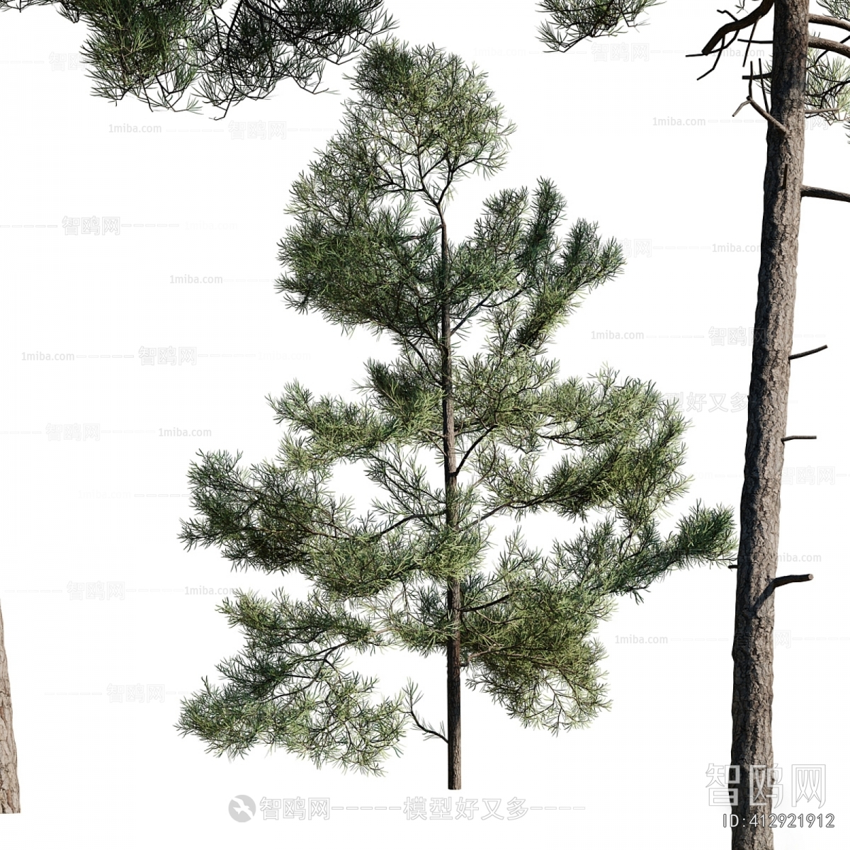 Modern Tree