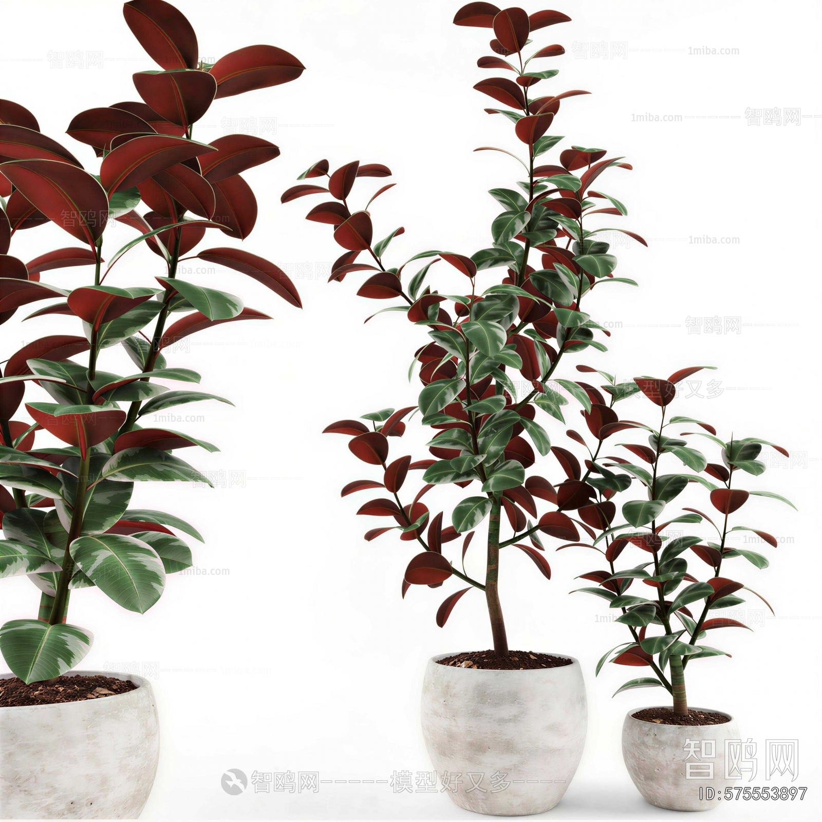 Modern Ground Green Plant Potted Plants