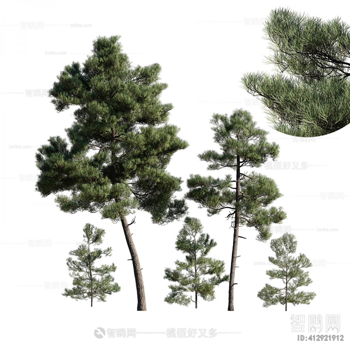 Modern Tree