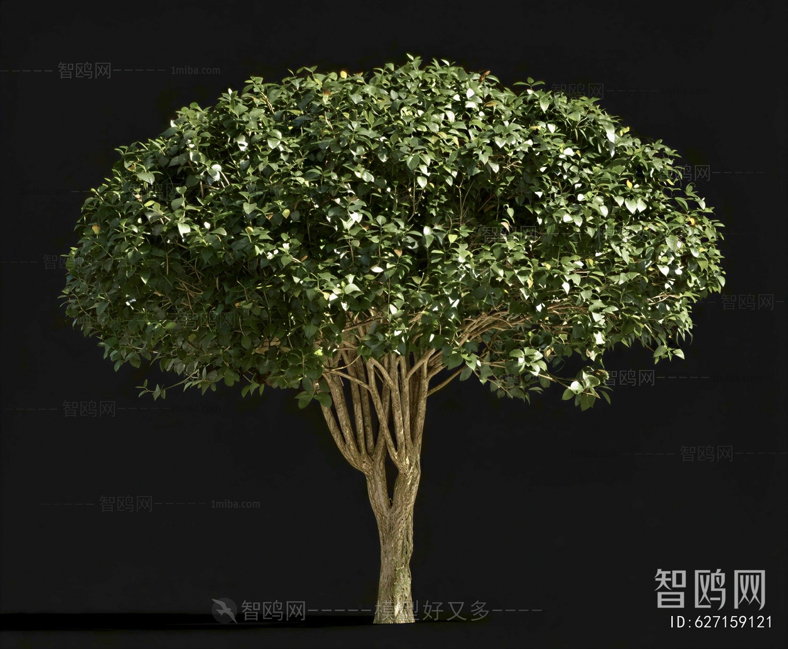 Modern Shrubbery
