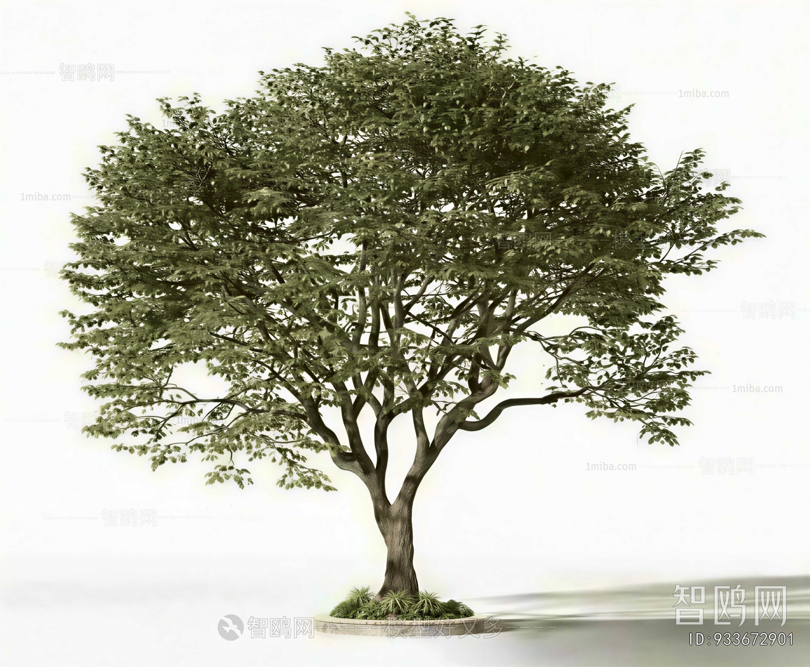 Modern Tree