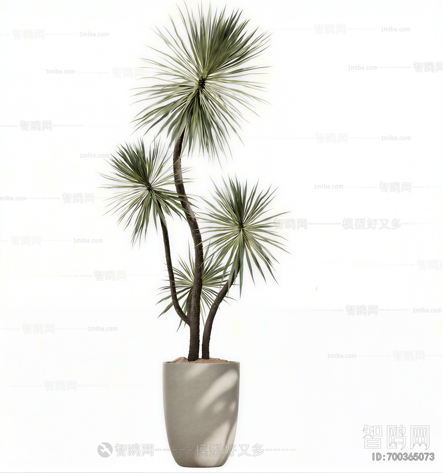 Modern Ground Green Plant Potted Plants