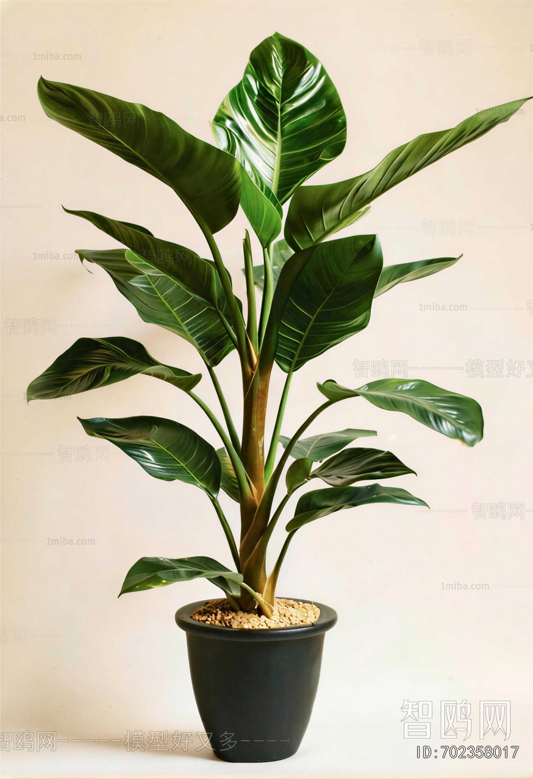 Modern Ground Green Plant Potted Plants