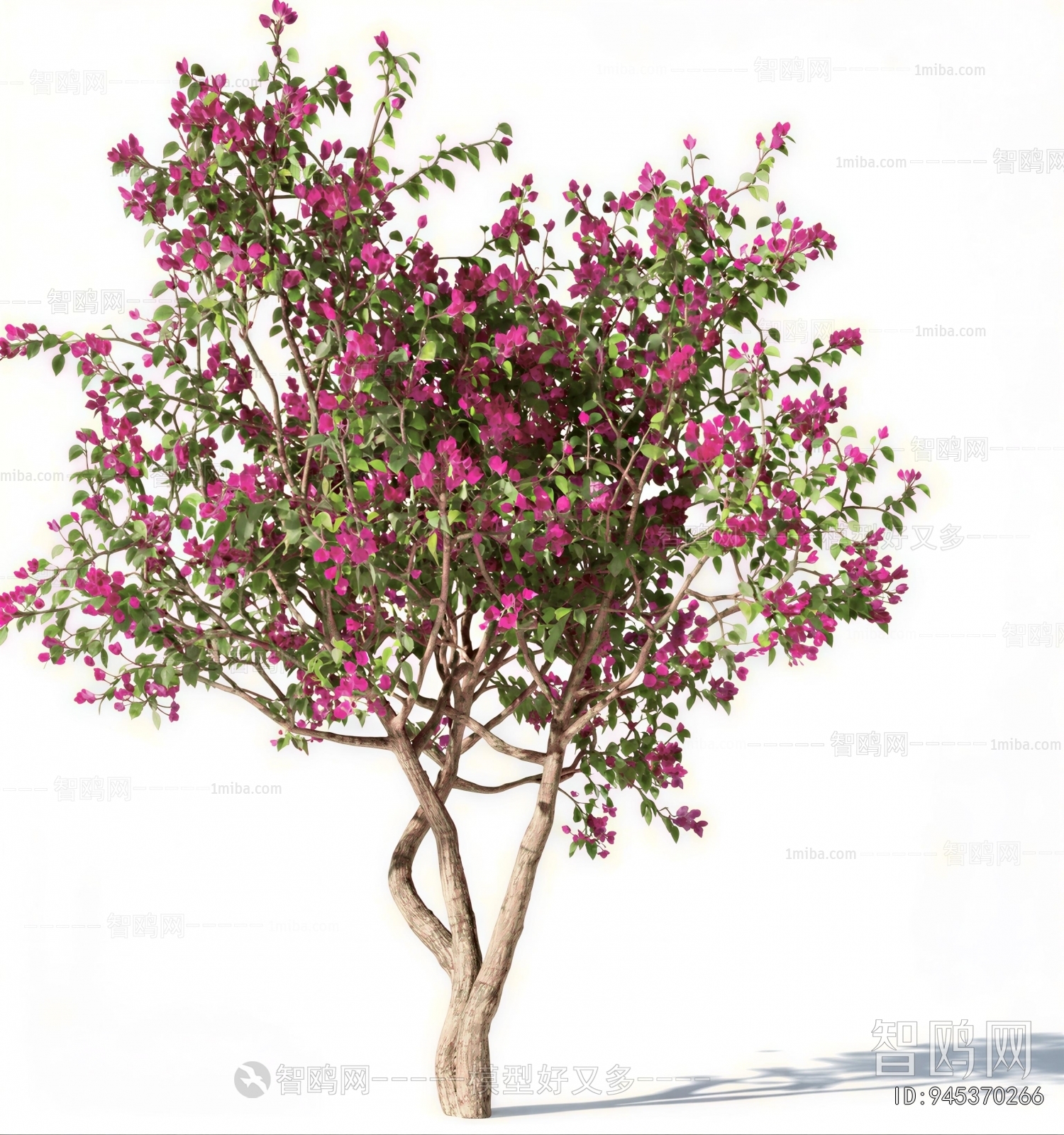 Modern Tree